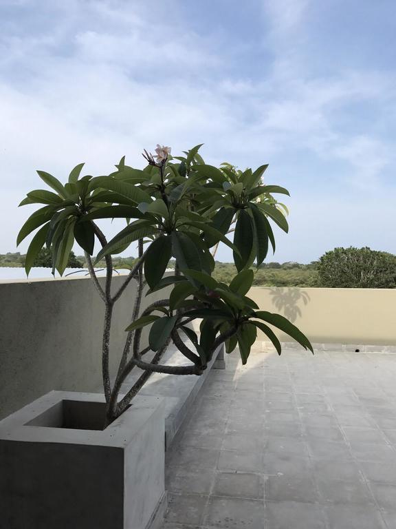 Tree Tops Yala Εξωτερικό φωτογραφία